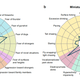 Radar charts showing behaviors of two breeds, the border collie and miniature schnauzer.